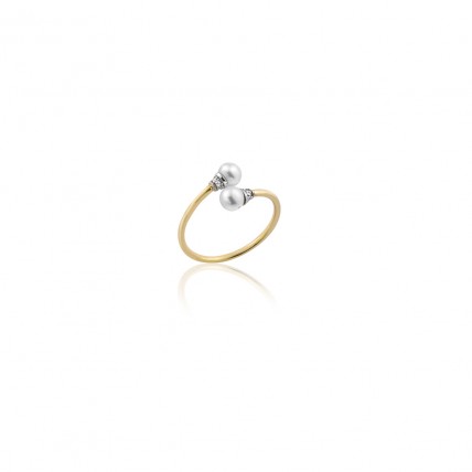 Δαχτυλίδι Σε Κίτρινο Χρυσό 14K Aloro (RI341 - ΖΧ2002) Δαχτυλίδι Σε Κίτρινο Χρυσό 14K Aloro (RI341 - ΖΧ2002)